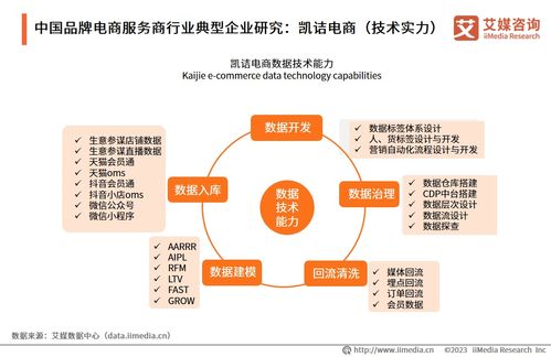 2023年中國(guó)品牌電商服務(wù)商行業(yè)研究報(bào)告 信息技術(shù)咨詢(xún)服務(wù)的價(jià)值重塑與趨勢(shì)洞察